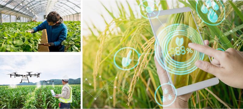 Quét sạch môi trường, kết hợp chuyển đổi số để có nông thôn mới thông minh